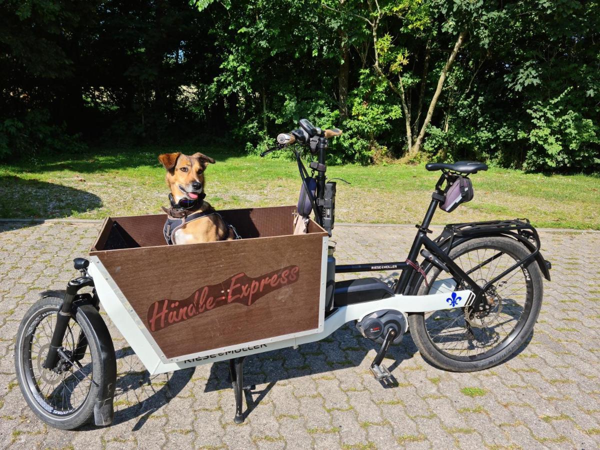 Ferienwohnung Op De Warft Neukirchen  Bagian luar foto